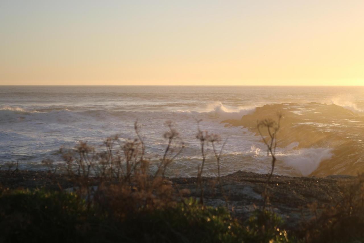 Green Element Guesthouse Costa de Caparica Exterior foto
